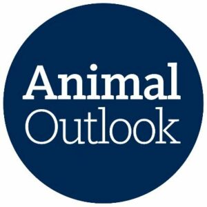 Animal Outlook VegReady As Mentioned In