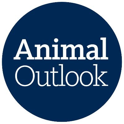 Animal Outlook