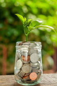 plant growing from coins