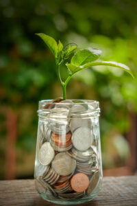 Plant growing from jar of coins