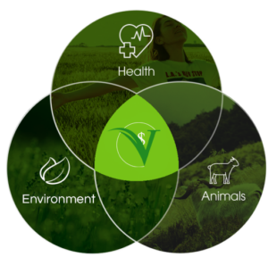 Venn Diagram showing intersection of Health Environment and Animals