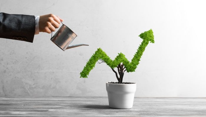 Invest-in-vegan-companies-VIC-1