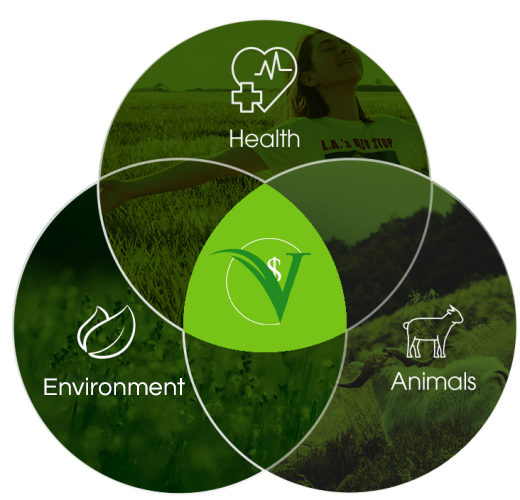 Venn Diagram showing intersection of Health Environment and Animals